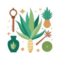 Hand drawn design botanical elements collection vector