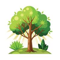 Different types of trees illustration vector