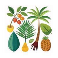 Hand drawn design botanical elements collection vector