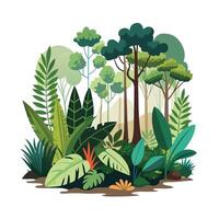 Hand drawn design botanical elements collection vector