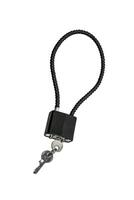 Locks and keys used to safely secure a firearm from being used. Weapon cable lock. photo