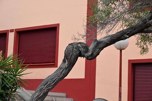 a tree leaning against a building with a fire hydrant photo