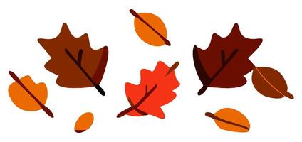 The image features a illustration of various autumn leaves in shades of brown, red, and orange, scattered on a white background vector