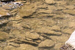 Surface Water Flowing Over Rocks In A Creek In The Rural Countryside photo