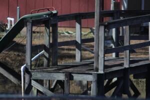 A Small Dock On The Side Of A Pond In The Rural Country photo