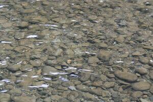 Surface Water Flowing Over Rocks In A Creek In The Rural Countryside photo