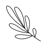 Hand drawn sketch leaf isolated on white background vector