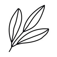 Hand drawn sketch leaf isolated on white background vector