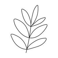 Hand drawn sketch leaf isolated on white background vector