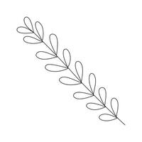 Hand drawn sketch leaf isolated on white background vector