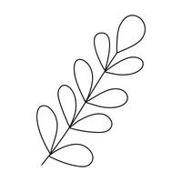 Hand drawn sketch leaf isolated on white background vector