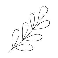 Hand drawn sketch leaf isolated on white background vector