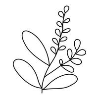 Hand drawn sketch branch with flowers and leaves isolated on white background. Simple doodle style. vector