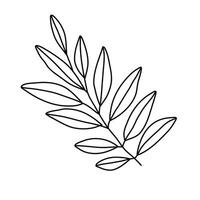 Hand drawn sketch leaf isolated on white background vector