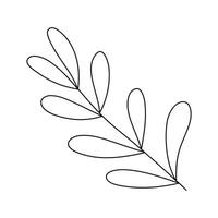 Hand drawn sketch leaf isolated on white background vector