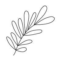 Hand drawn sketch leaf isolated on white background vector
