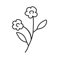 Hand drawn sketch branch with flowers and leaves isolated on white background. Simple doodle style. vector