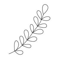 Hand drawn sketch leaf isolated on white background vector