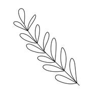 Hand drawn sketch leaf isolated on white background vector