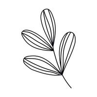 Hand drawn sketch leaf isolated on white background vector