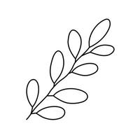 Hand drawn sketch leaf isolated on white background vector