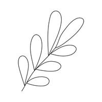Hand drawn sketch leaf isolated on white background vector