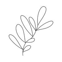 Hand drawn sketch leaf isolated on white background vector