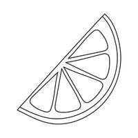 Hand drawn doodle citrus slice isolated on white background vector