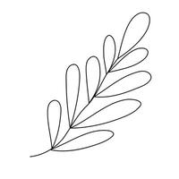 Hand drawn sketch leaf isolated on white background vector