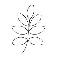 Hand drawn sketch leaf isolated on white background vector