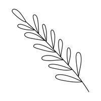 Hand drawn sketch leaf isolated on white background vector