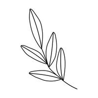 Hand drawn sketch leaf isolated on white background vector