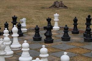 Large Chest Pieces On A Large Chess Board In A Yard. photo