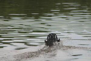 Toy Remote Controlled Boat Speeding Down The River photo