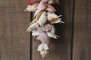 Seashells Hanging With A Wooden Background photo