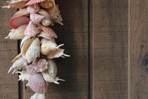 Seashells Hanging With A Wooden Background photo