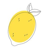 Lemon in simple doodle style vector