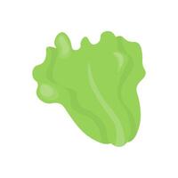 Single image of a lettuce leaf in color. Stock isolated image on a white background in hand-drawn style. Botanical clipart. vector