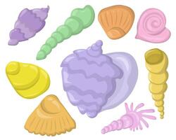 Set of bright multi-colored mollusk shells, various shapes, types and sizes of shells for summer design vector