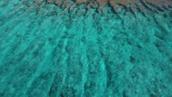 Maldives island tropical coastline with beach, palms trees and ocean. Drone view of paradise luxury island video