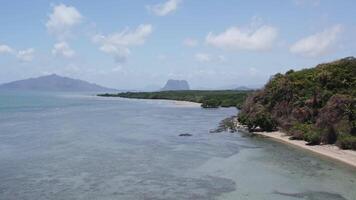 Wild beach with palm trees in the Philippines view from a drone video