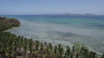 Wild beach with palm trees in the Philippines view from a drone video