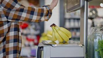 Close up of a confident woman in a plaid shirt weighing bananas on an electronic scale in a supermarket while shopping with her infant daughter video