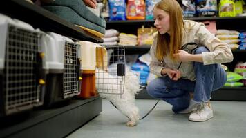 A blonde girl in a white checkered shirt chooses a carrier for her dog which is already climbing into the cage and testing it out At the pet store video