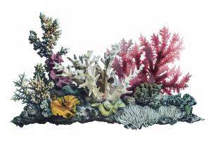 Vibrant Underwater Coral Reef Scene. photo