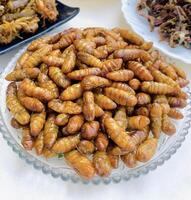 A plate of golden brown fried silkworm pupae, a traditional snack photo