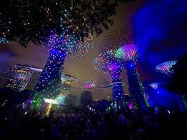The Gardens By The Bay illuminated light show the supertree to life with a colourful light show to music Singapore 10 July 2024 photo