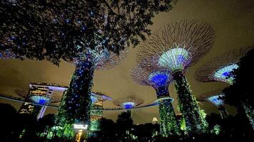 The Gardens By The Bay illuminated light show the supertree to life with a colourful light show to music Singapore 10 July 2024 photo