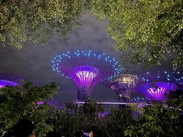 The Gardens By The Bay illuminated light show the supertree to life with a colourful light show to music Singapore 10 July 2024 photo