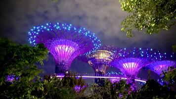 The Gardens By The Bay illuminated light show the supertree to life with a colourful light show to music Singapore 10 July 2024 photo